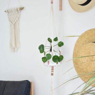 Suspension pour plante tricolore