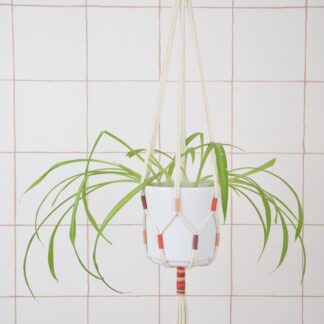 Suspension pour plante tricolore