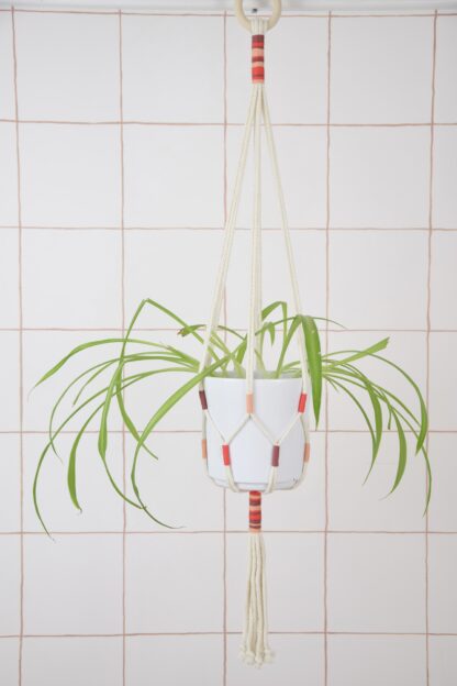 Suspension pour plante tricolore