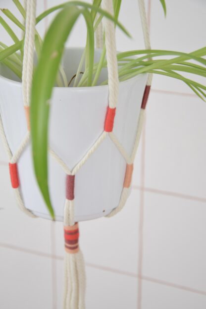 Suspension pour plante tricolore – Image 2