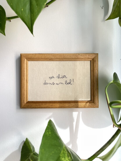Broderie "va chier dans un bol"