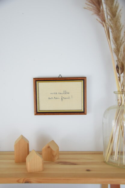 Broderie "mes couilles sur ton front"
