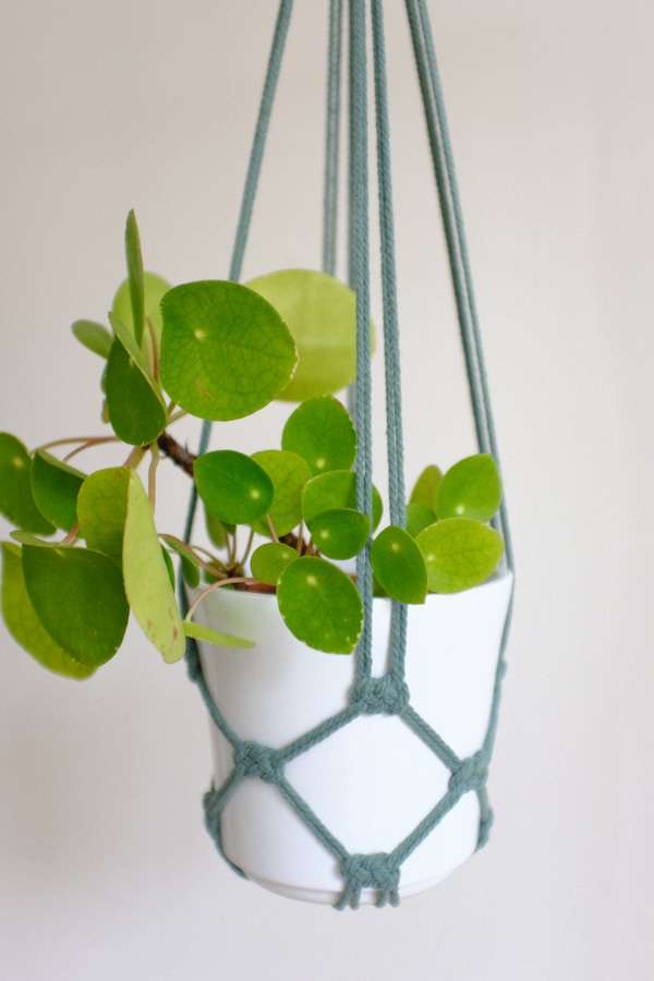 Suspension pour plante colorée (8 coloris au choix) – Image 8