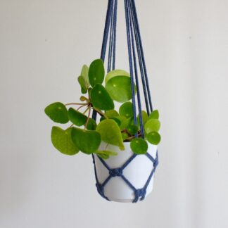 Suspension pour plante colorée (8 coloris au choix)