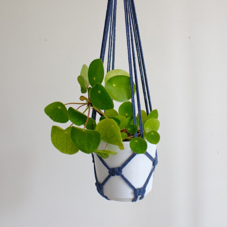 Suspension pour plante colorée (8 coloris au choix)