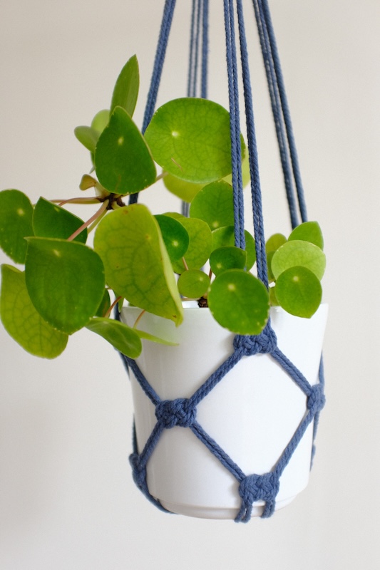 Suspension pour plante colorée (8 coloris au choix) – Image 12