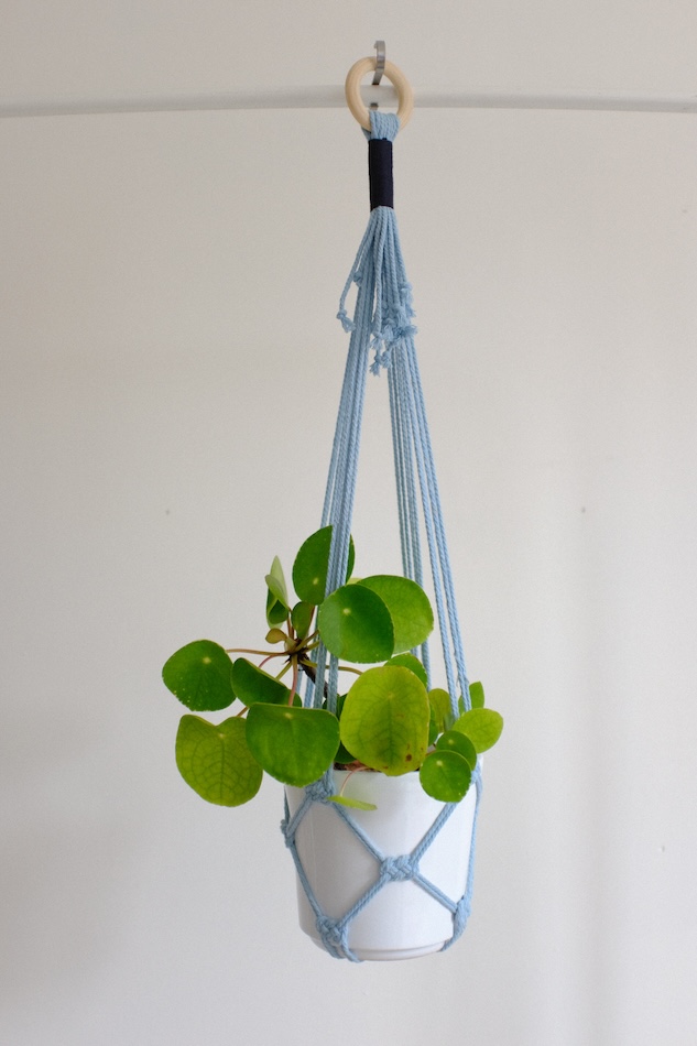 Suspension pour plante colorée (8 coloris au choix) – Image 6