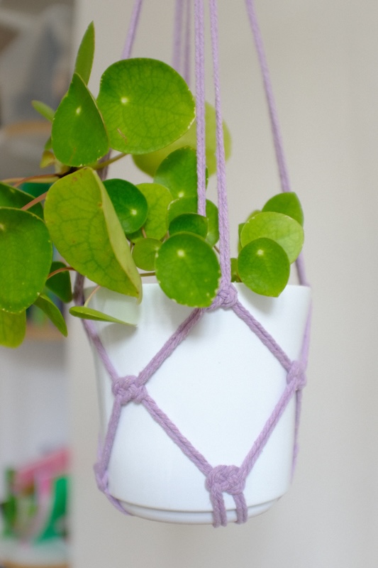 Suspension pour plante colorée (8 coloris au choix) – Image 5