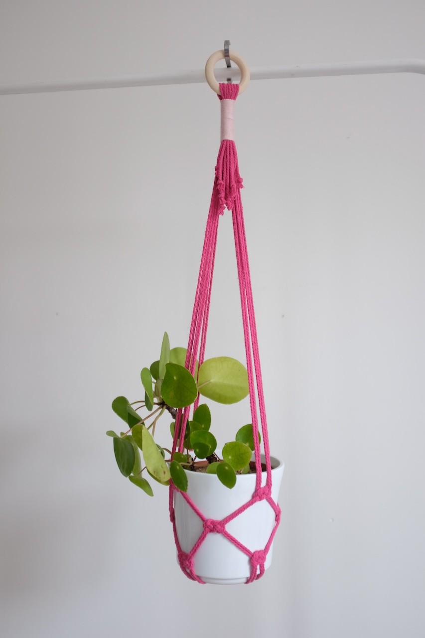 Suspension pour plante colorée (8 coloris au choix) – Image 14