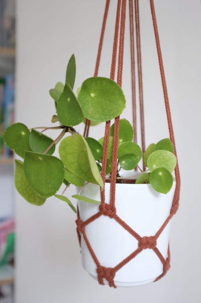 Suspension pour plante colorée (8 coloris au choix) – Image 13