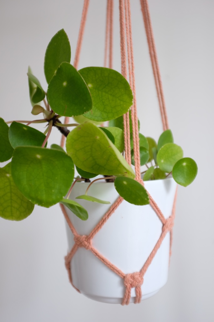 Suspension pour plante colorée (8 coloris au choix) – Image 11