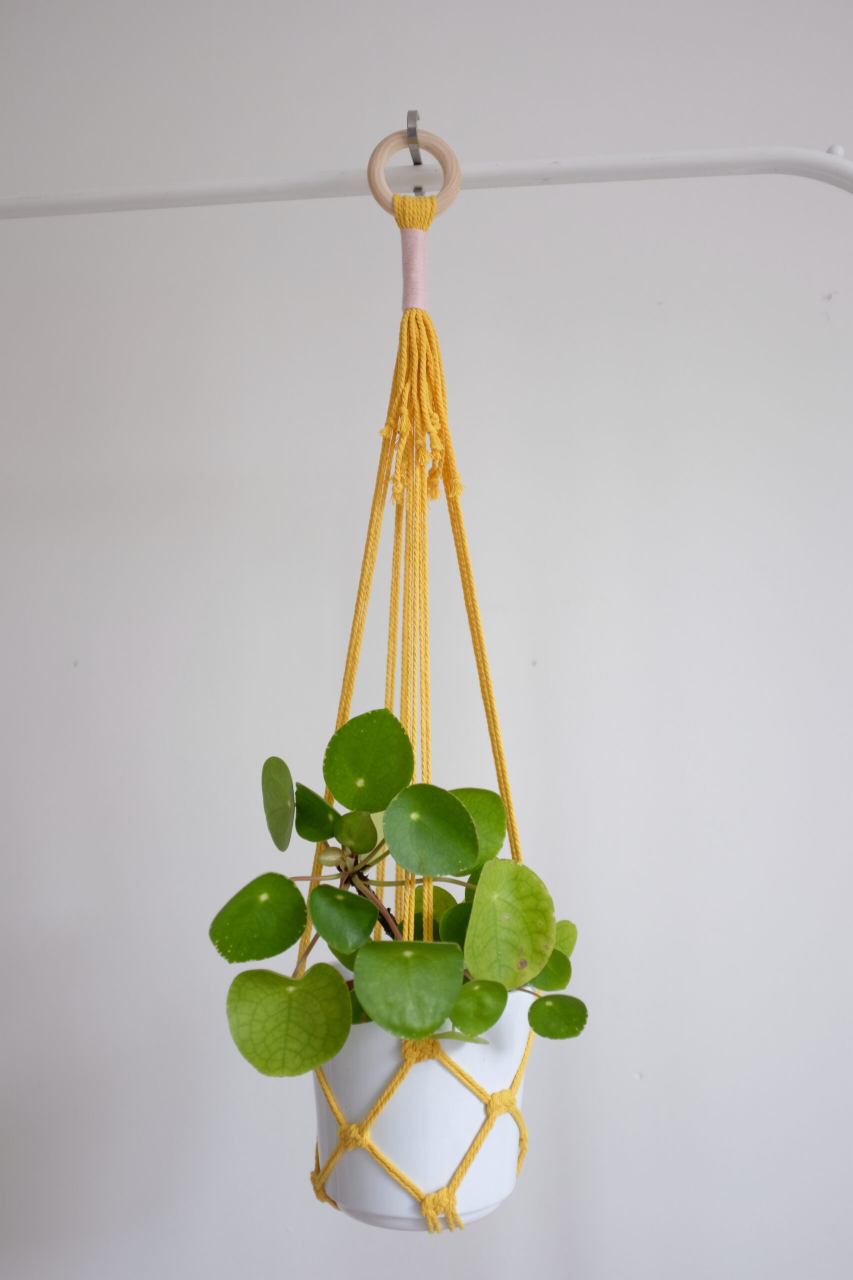 Suspension pour plante colorée (8 coloris au choix) – Image 4