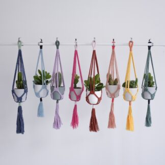 Mini-suspension pour plante