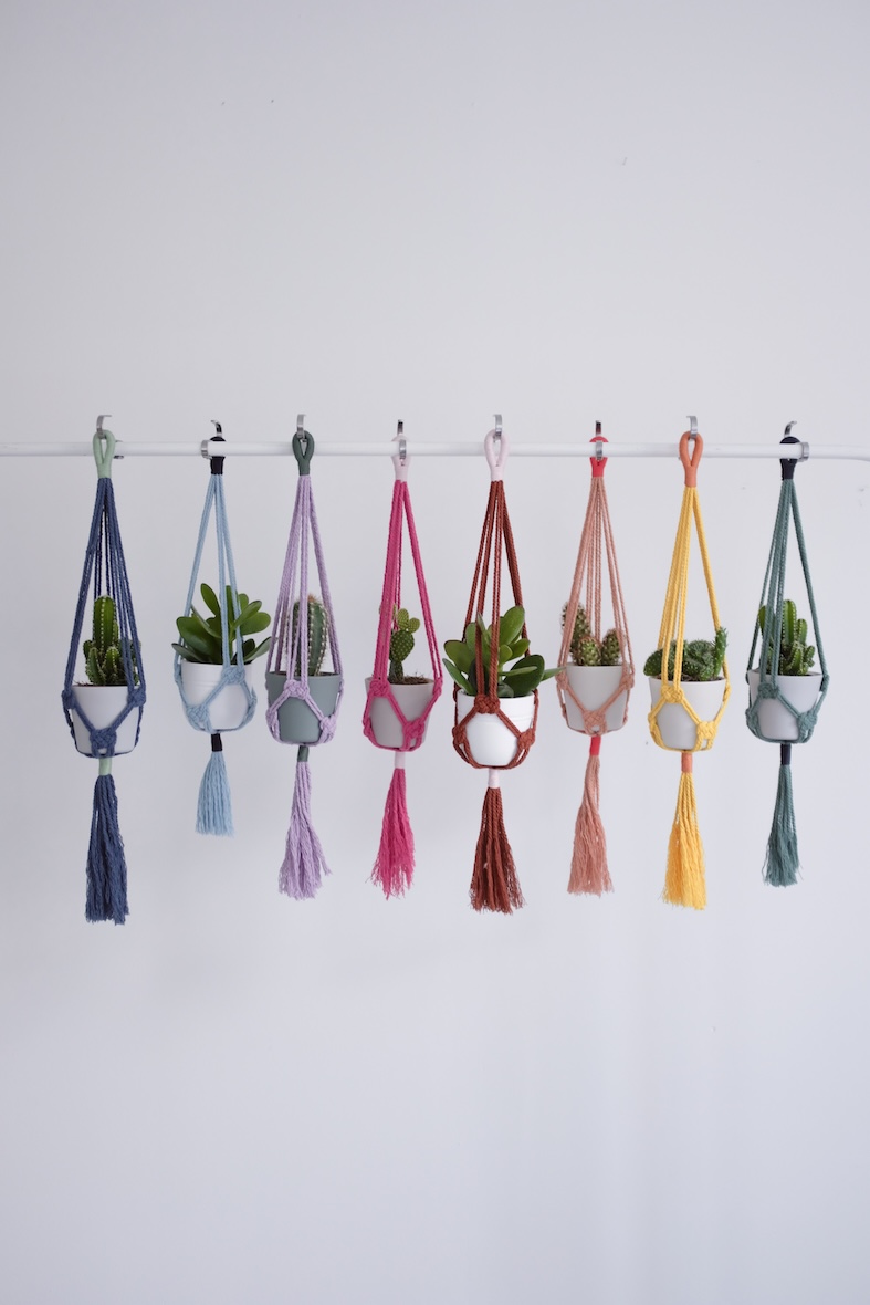 Mini-suspension pour plante