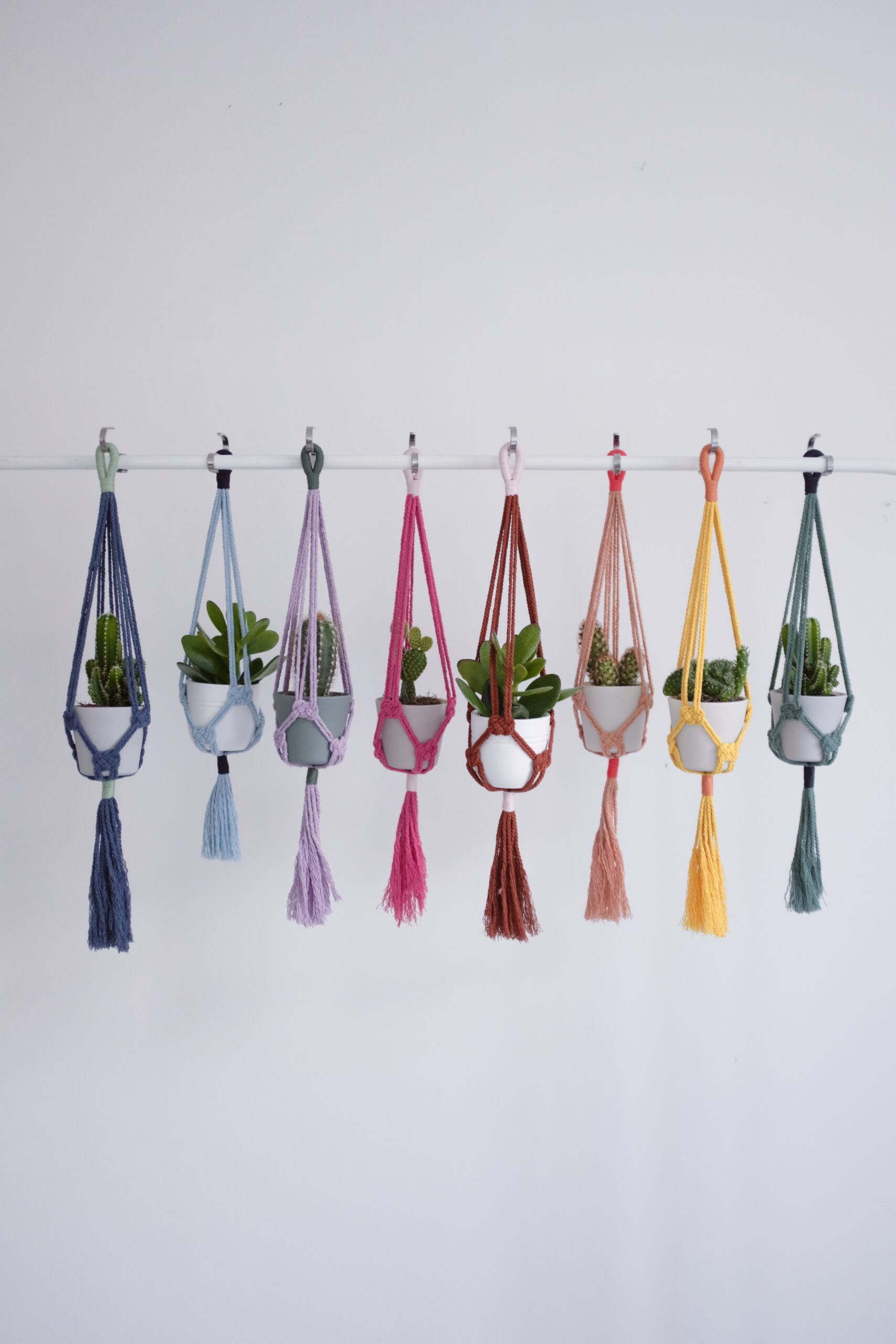 Mini-suspension pour plante – Image 3