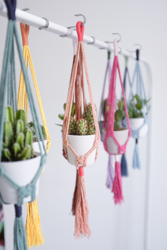 Mini-suspension pour plante – Image 2