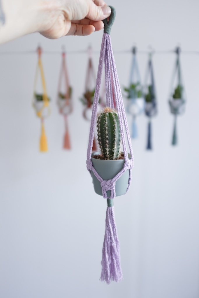 Mini-suspension pour plante – Image 5