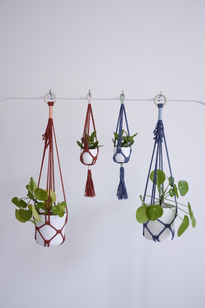 Mini-suspension pour plante – Image 4